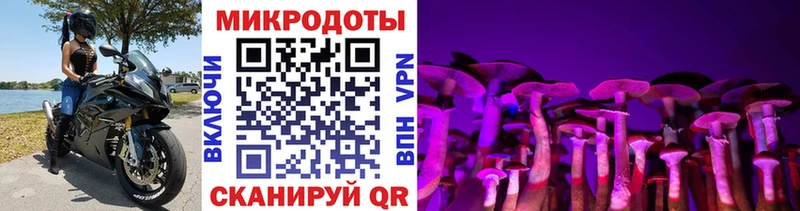 Галлюциногенные грибы мухоморы  Мурино 