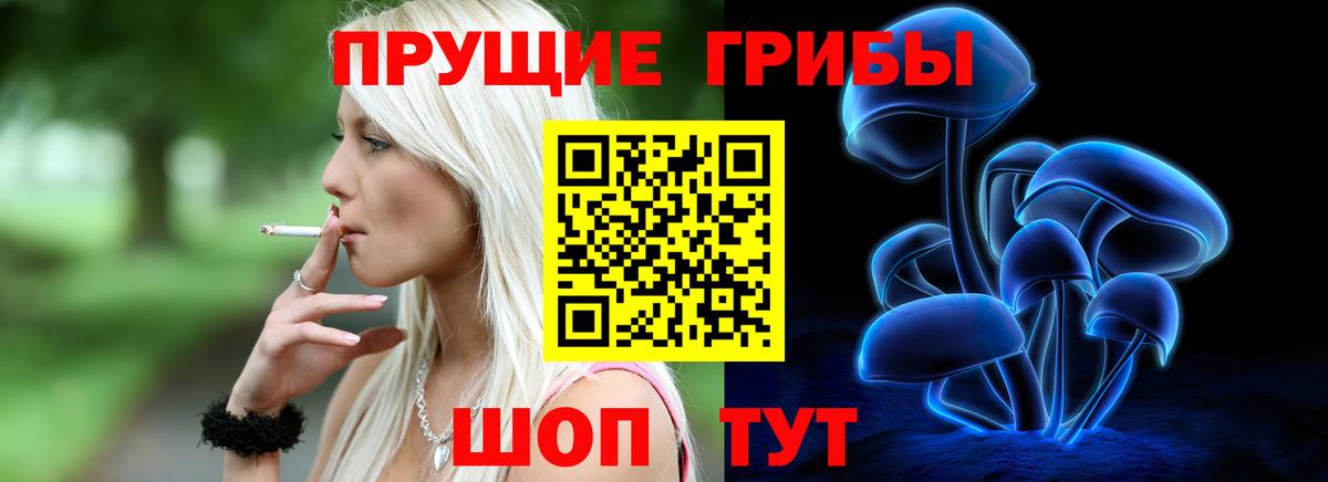 Мурино  Псилоцибиновые грибы MAGIC MUSHROOMS  Вход с VPN 